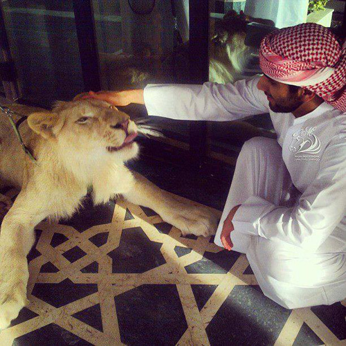 Choáng với thú chơi xa xỉ của Thái tử đẹp trai nhất Dubai - 6